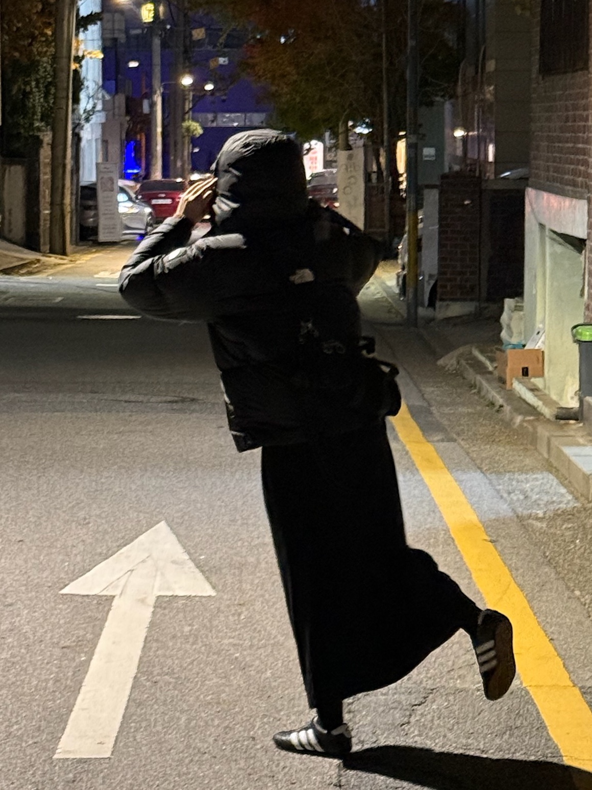 The North Face White Label Project Down Jacket RDS Black - 25FW 착용 스타일