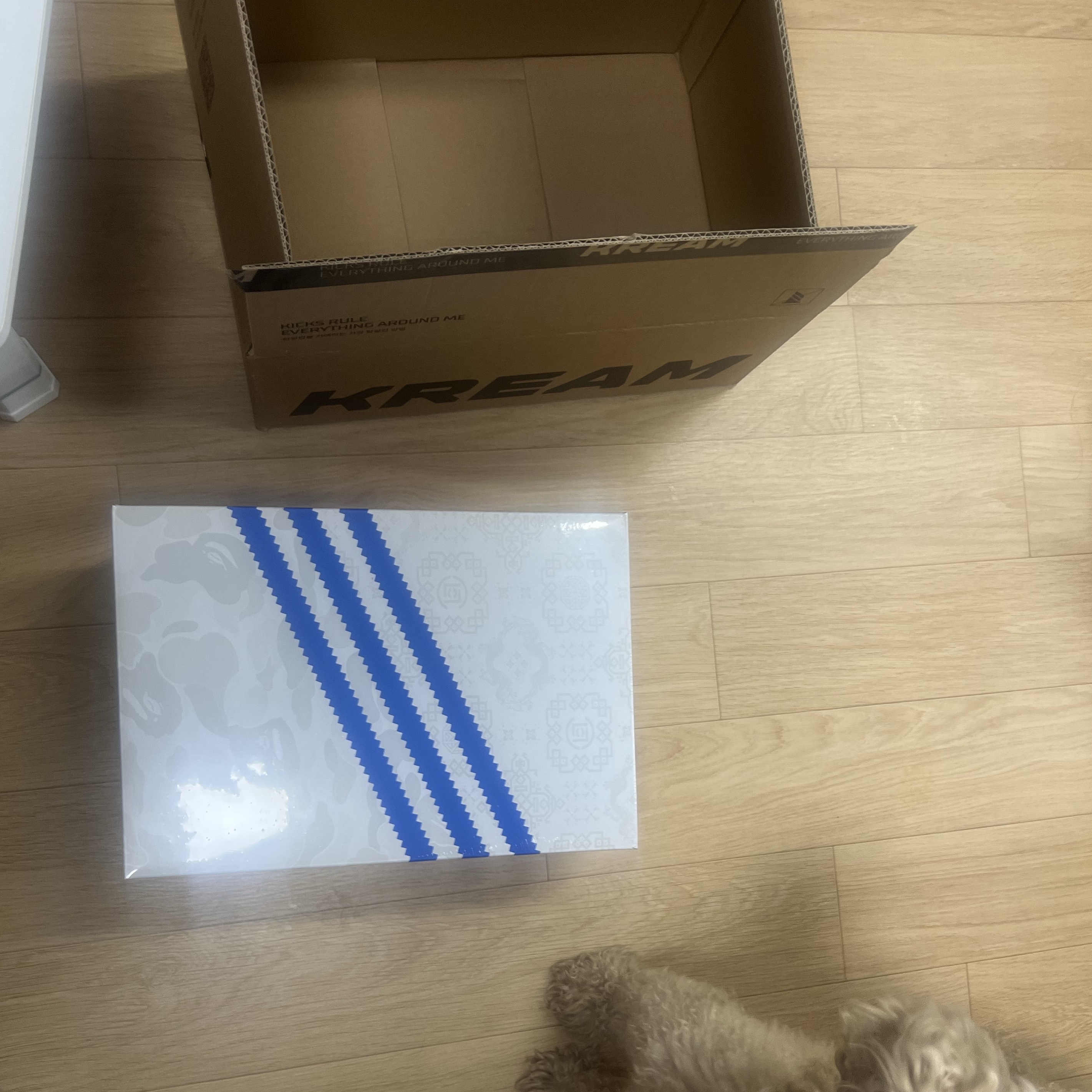 Adidas x BAPE x Edison Chen Clot Superstar Off White Branch 착용 스타일 - 4