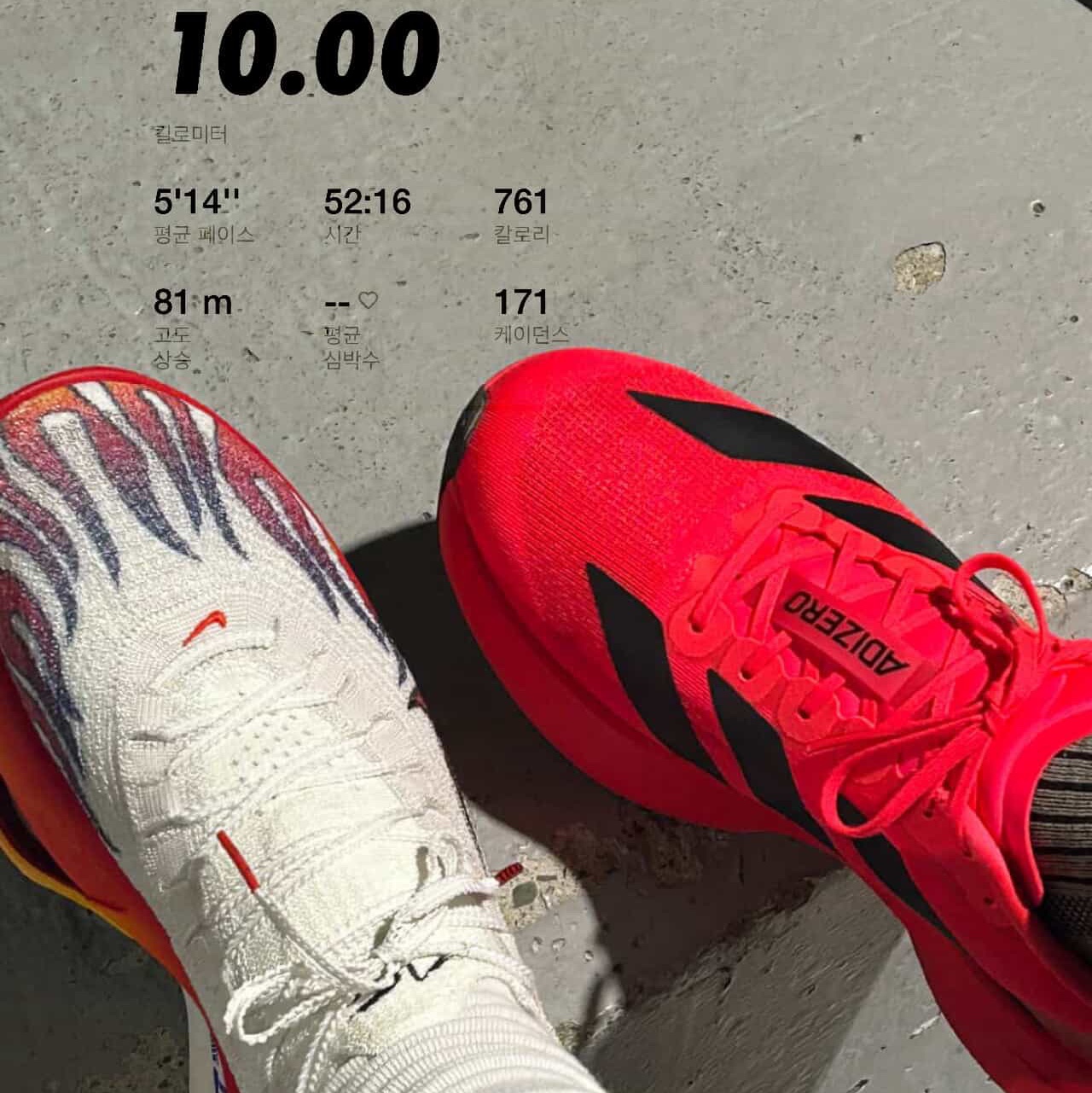 Adidas Adizero Evo SL Lucid Red Core Black, Nike Air Zoom Alphafly Next% 3 PRM White Habanero Red 착용 스타일