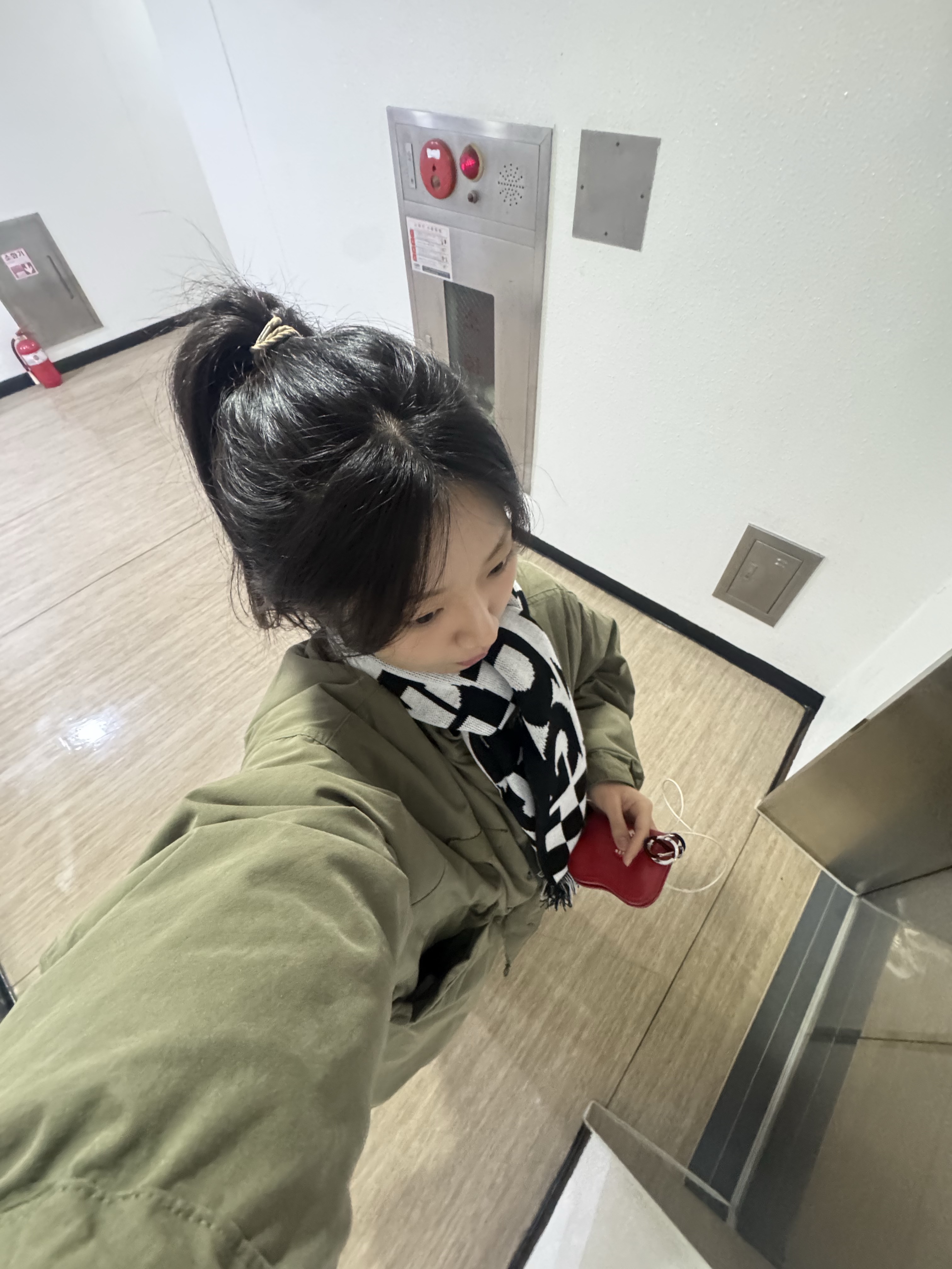 CDG Logo Check Muffler White Black, Freak's Store M-65 Liner Set Faded Olive 착용 스타일 - 1