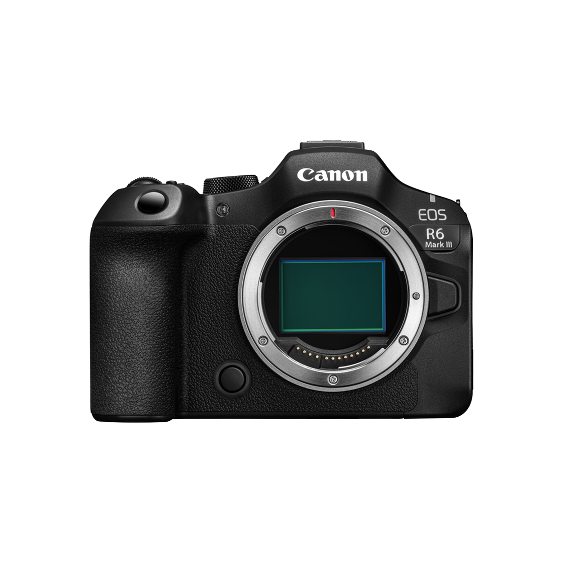 캐논 EOS R6 Mark III Body(Canon EOS R6 Mark III Body)
