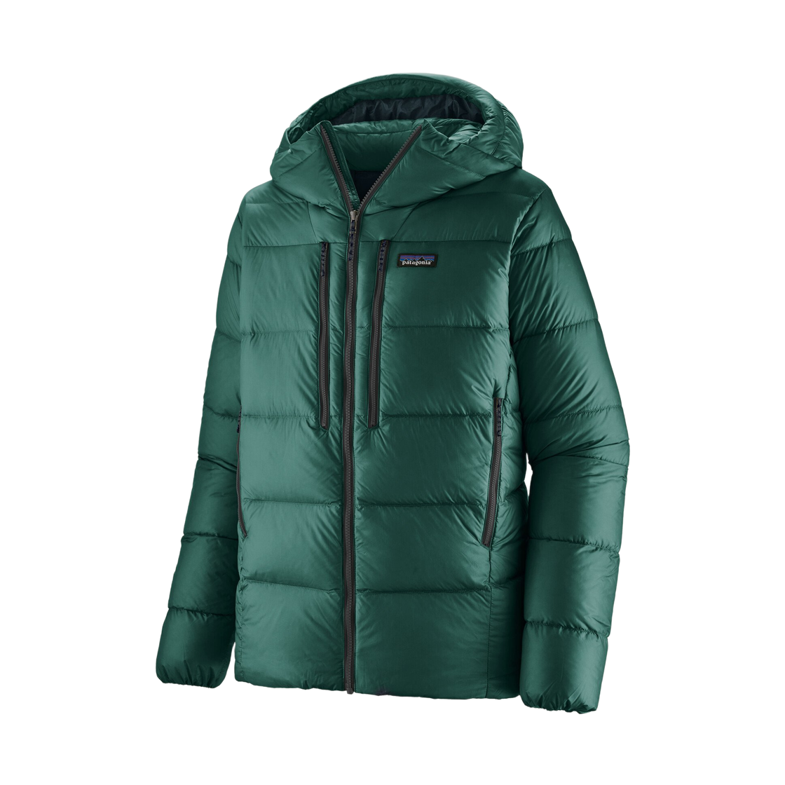 파타고니아 피츠 로이 다운 후디 케스케이드 그린(Patagonia Fitz Roy Down Hoody Cascade Green)
