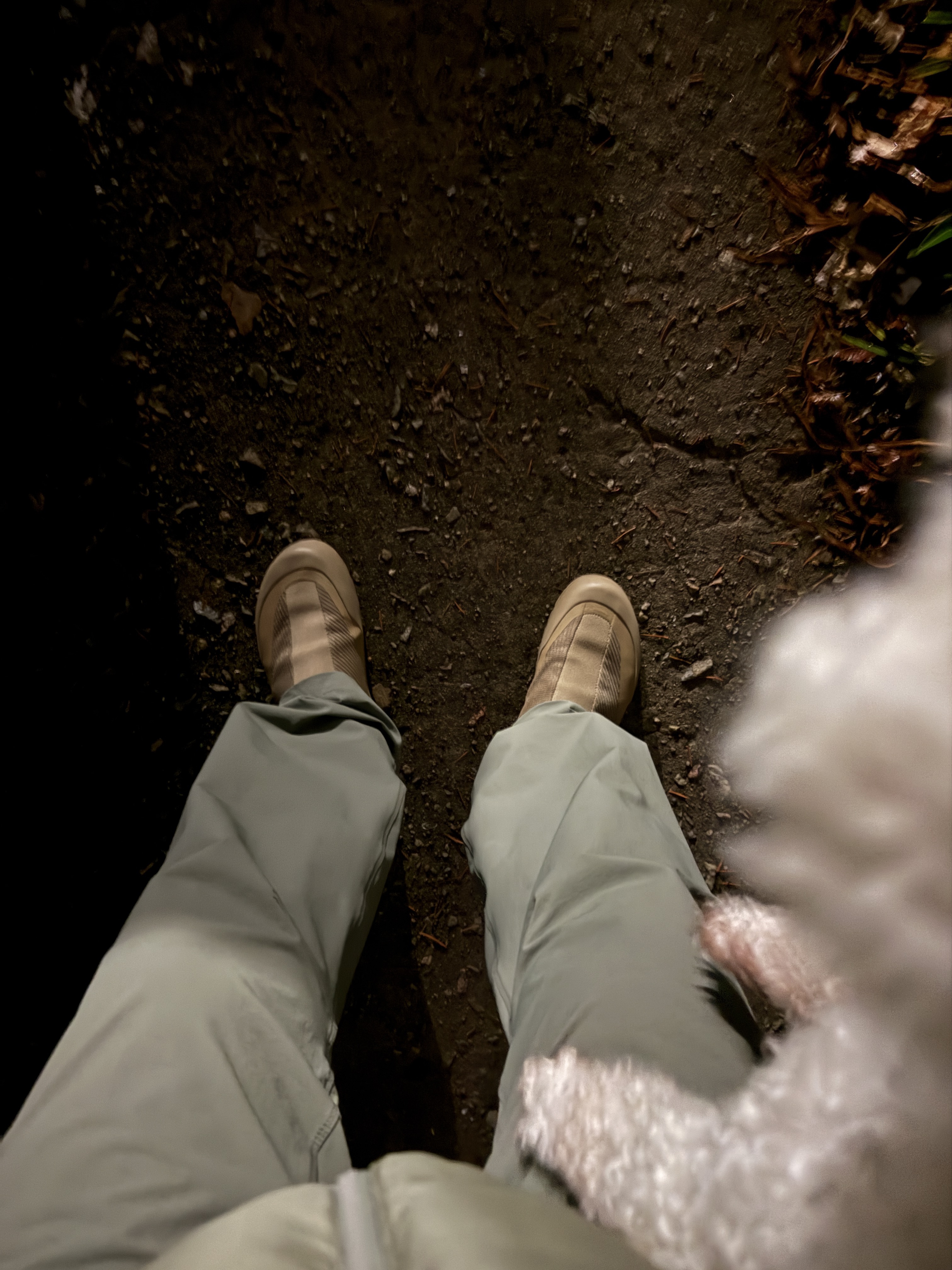 Arc'teryx Kragg Canvas, Arc'teryx Rampart Pants Forage 착용 스타일