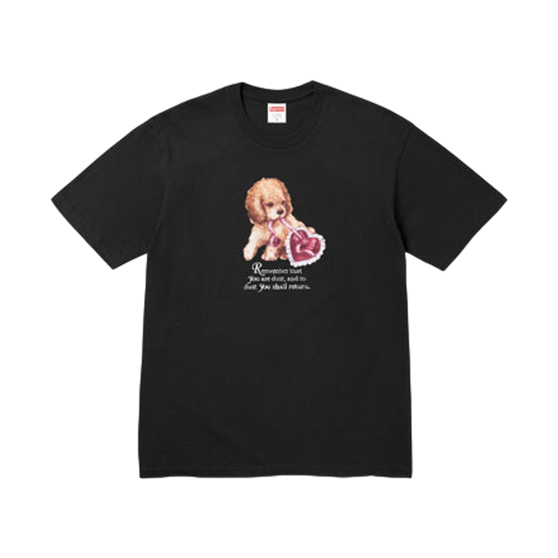 슈프림 더스트 티셔츠 블랙 - 25FW(Supreme Dust T-Shirt Black - 25FW)