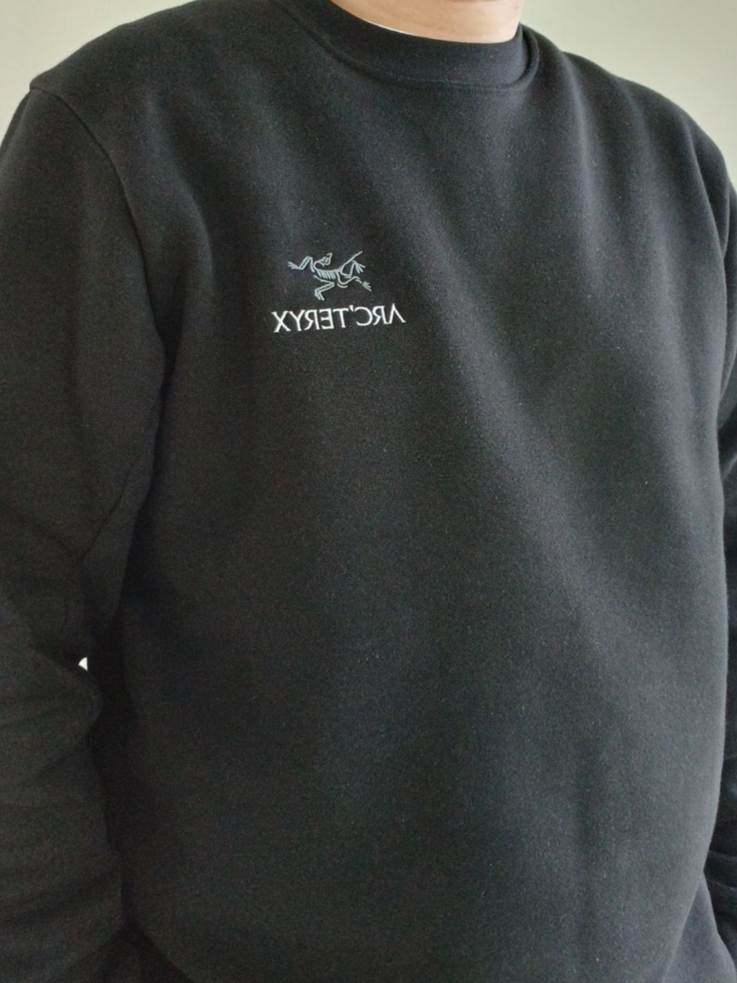 Arc'teryx Emblem Fleece Crew Neck Pullover Black, Arc'teryx Kragg SL Cotton SS T-Shirt White Light 착용 스타일 - 1