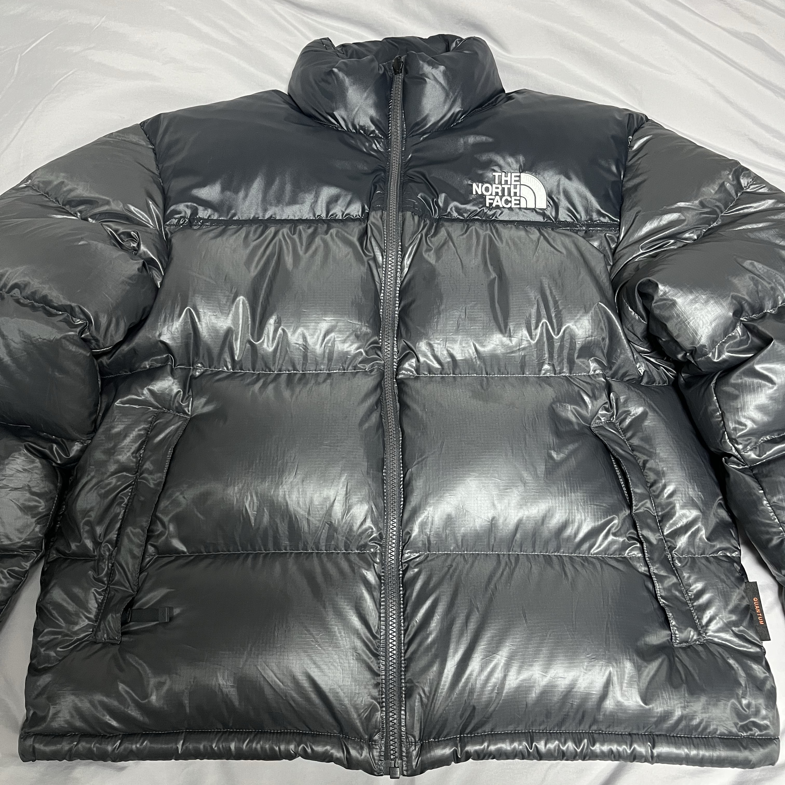 The North Face Quantum Nuptse RDS Down Jacket Silver Gray 착용 스타일