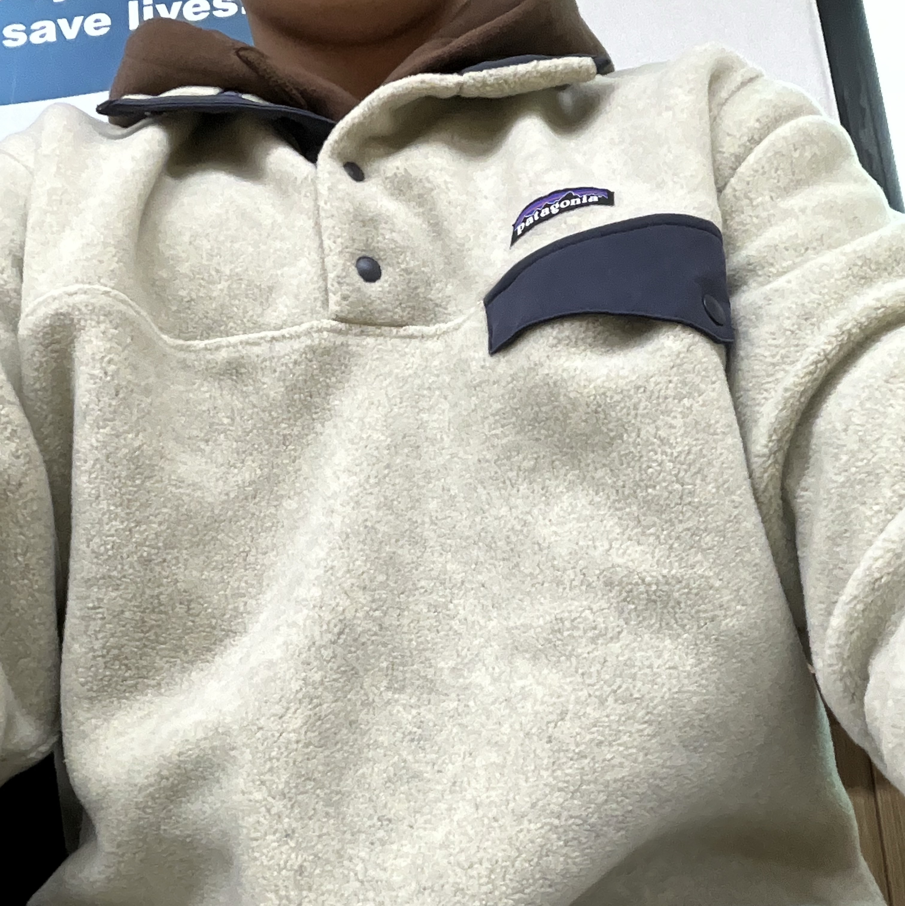 Patagonia Lightweight Synchilla Snap-T Fleece Pullover Oatmeal Heather/Smolder Blue/New Navy 착용 스타일