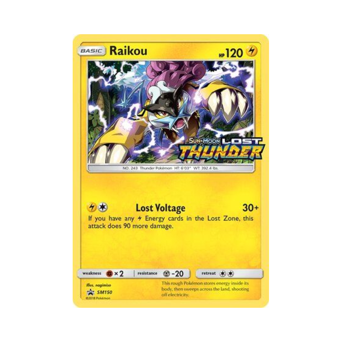포켓몬 TCG 라이코 P 썬 & 문 프로모카드 (영문판)(Pokemon TCG Raikou P Sun & Moon Promos (English Ver.)) - 1