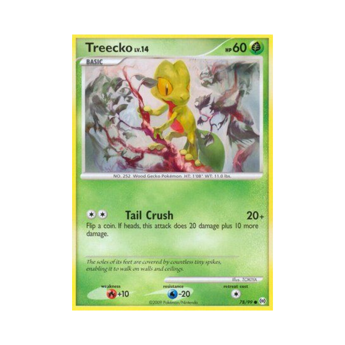 포켓몬 TCG 나무지기 C 아르세우스 (영문판)(Pokemon TCG Treecko C Arceus (English Ver.)) - 1