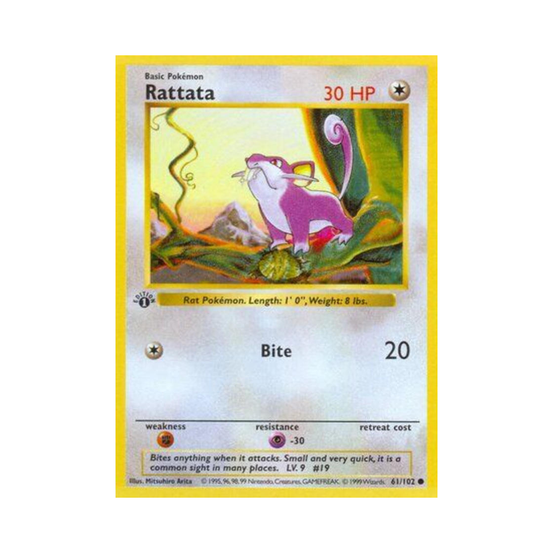 포켓몬 TCG 꼬렛 C 베이스 세트 (영문판)(Pokemon TCG Rattata C Base Set (English Ver.)) - 1
