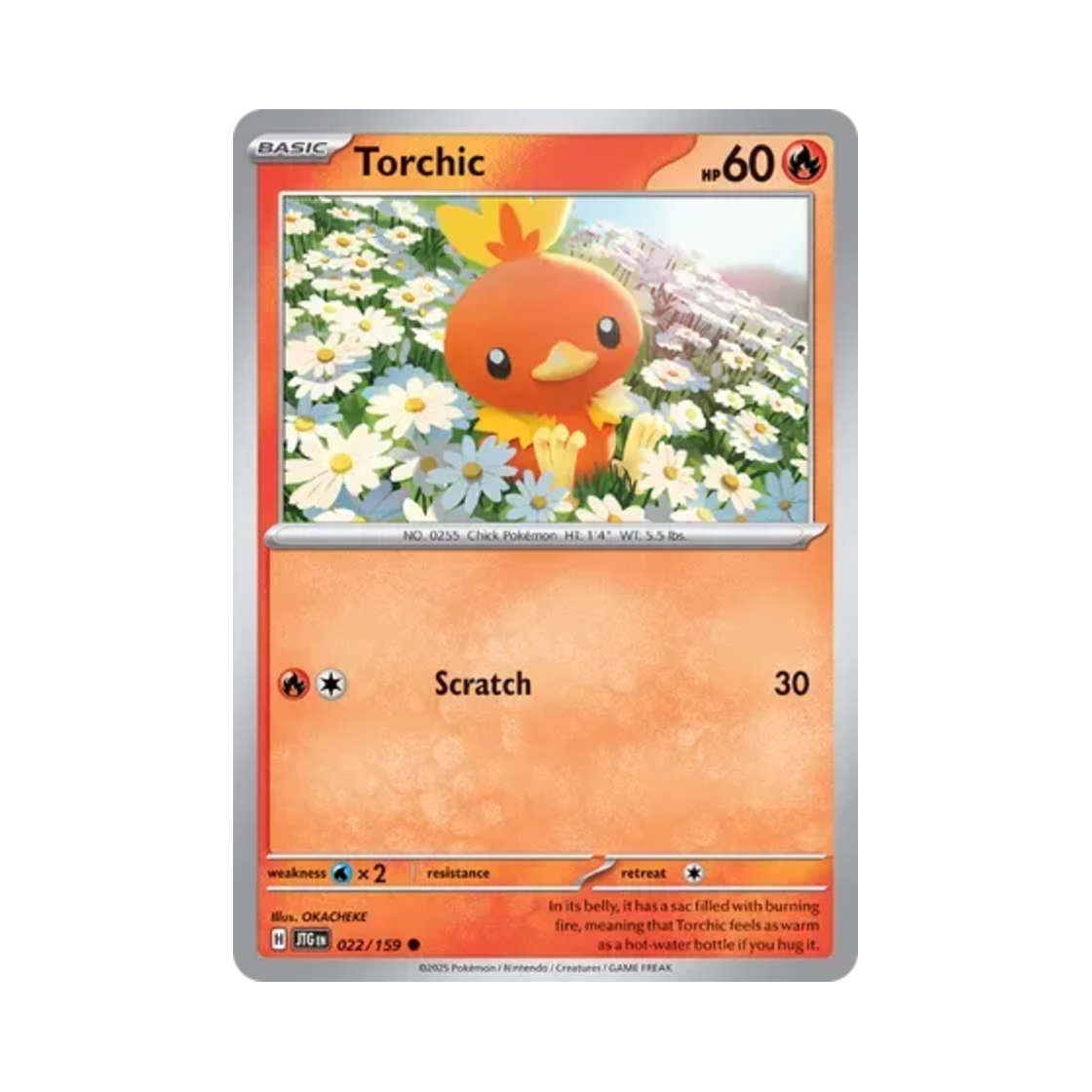 포켓몬 TCG 아차모 C 저니 투게더 (영문판)(Pokemon TCG Torchic C Journey Together (English Ver.)) - 1