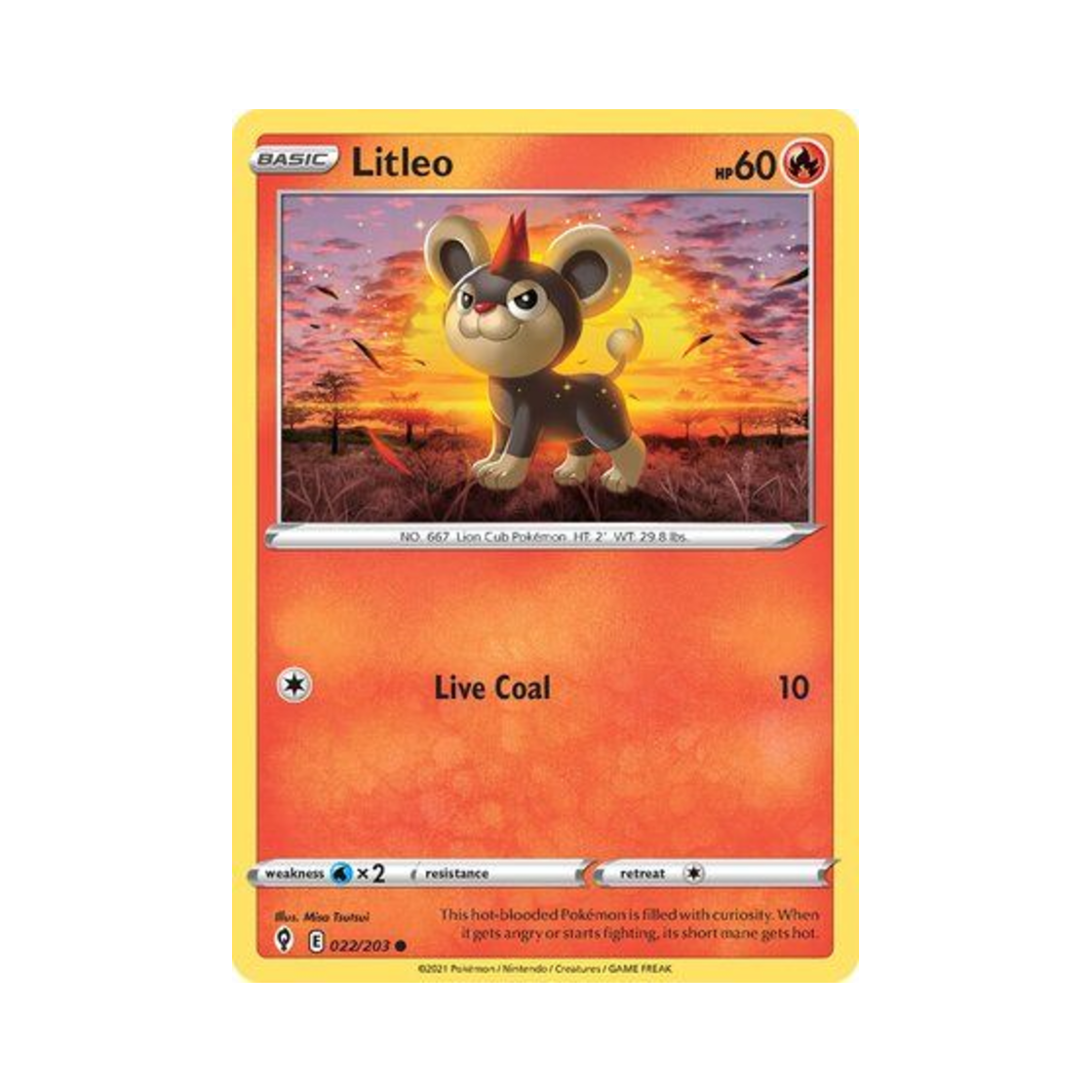 포켓몬 TCG 레오꼬 C 이볼빙 스카이즈 (영문판)(Pokemon TCG Litleo C Evolving Skies (English Ver.))