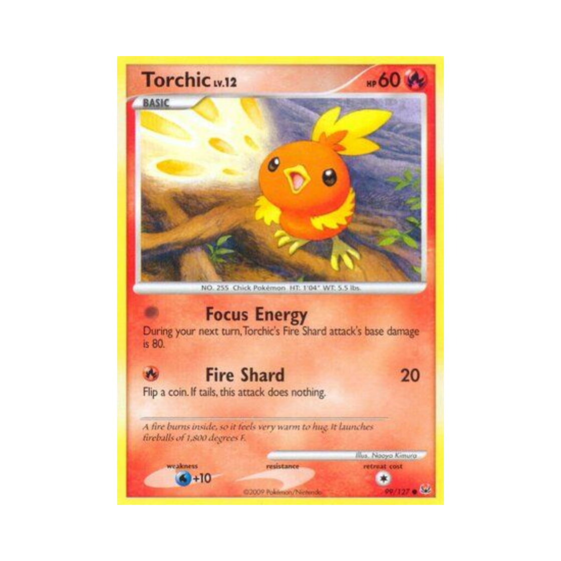 포켓몬 TCG 아차모 C 플래티넘 (영문판)(Pokemon TCG Torchic C Platinum (English Ver.)) - 1