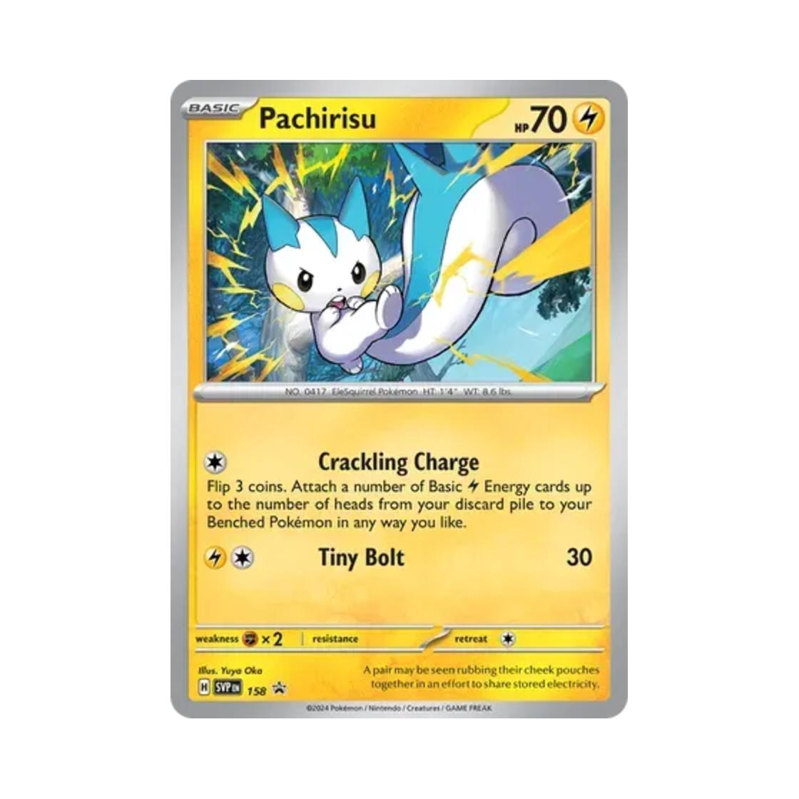 포켓몬 TCG 파치리스 P 스칼렛 & 바이올렛 프로모 카드 (영문판)(Pokemon TCG Pachirisu P Scarlet & Violet Promos (English Ver.)) - 1