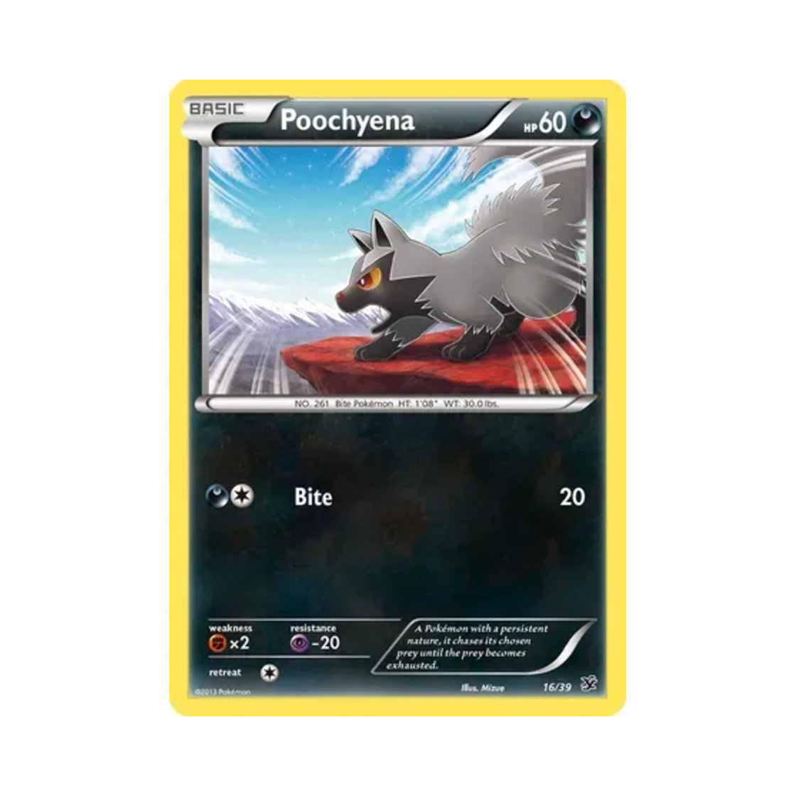 포켓몬 TCG 포챠나 칼로스 스타터 세트 (영문판)(Pokemon TCG Poochyena Kalos Starter Set (English Ver.)) - 1