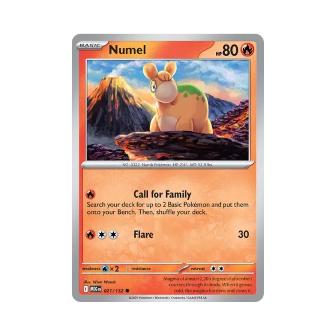 포켓몬 TCG 둔타 C 메가 에볼루션 (영문판)(Pokemon TCG Numel C Mega Evolution (English Ver.))