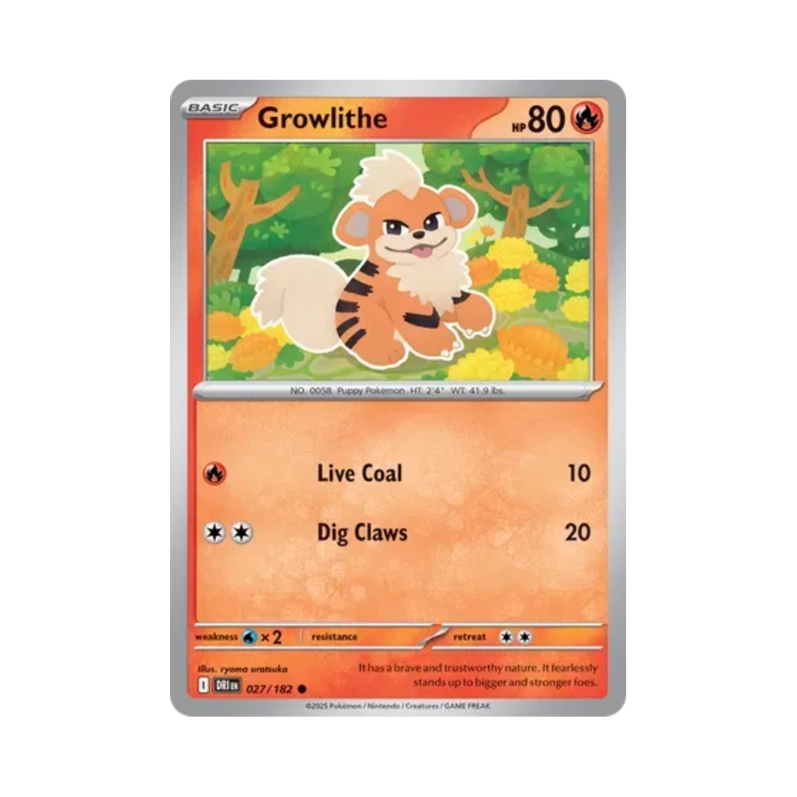 포켓몬 TCG 가디 C 데스티니드 라이벌스 (영문판)(Pokemon TCG Growlithe C Destined Rivals (English Ver.)) - 1