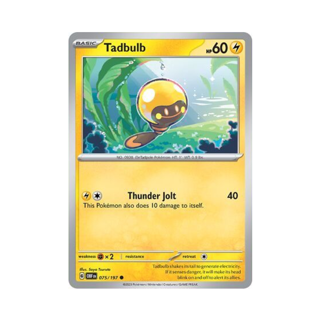 포켓몬 TCG 빈나두 C 옵시디언 플레임즈 (영문판)(Pokemon TCG Tadbulb C Obsidian Flames (English Ver.)) - 1