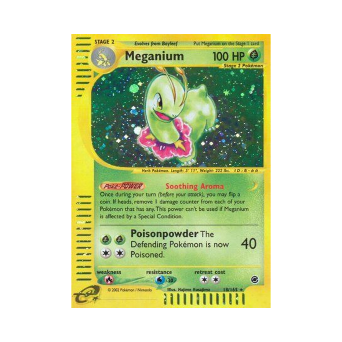 포켓몬 TCG 메가니움 RH 익스페디션 베이스 세트 (영문판)(Pokemon TCG Meganium RH Expedition Base Set (English Ver.)) - 1