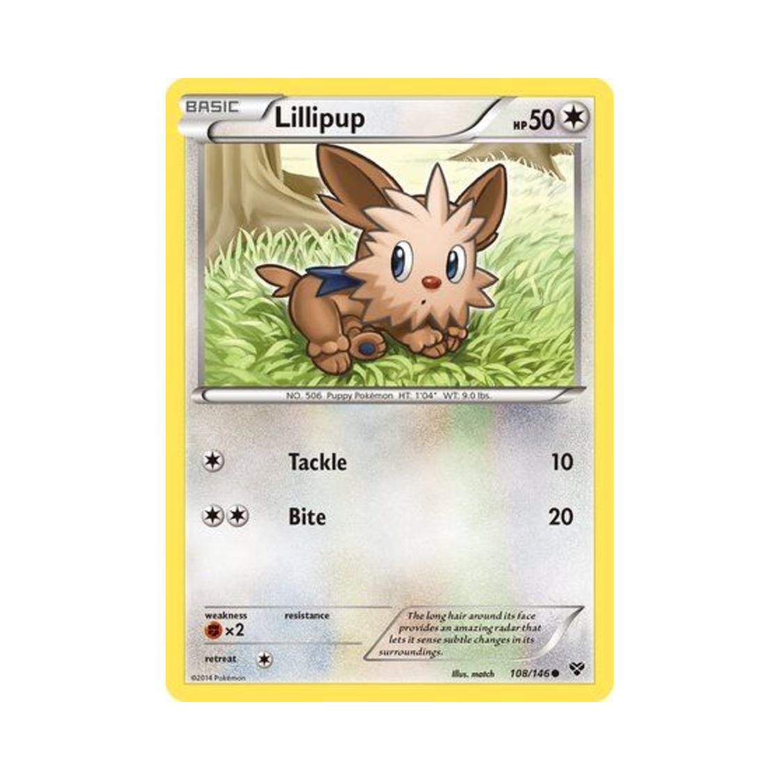 포켓몬 TCG 요테리 C XY (영문판)(Pokemon TCG Lillipup C XY (English Ver.)) - 1