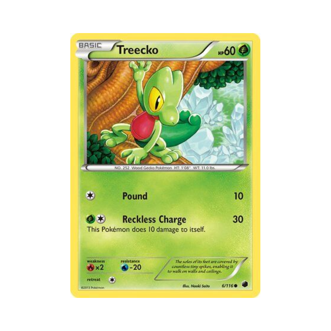 포켓몬 TCG 나무지기 C 플라스마 프리즈 (영문판)(Pokemon TCG Treecko C Plasma Freeze (English Ver.))