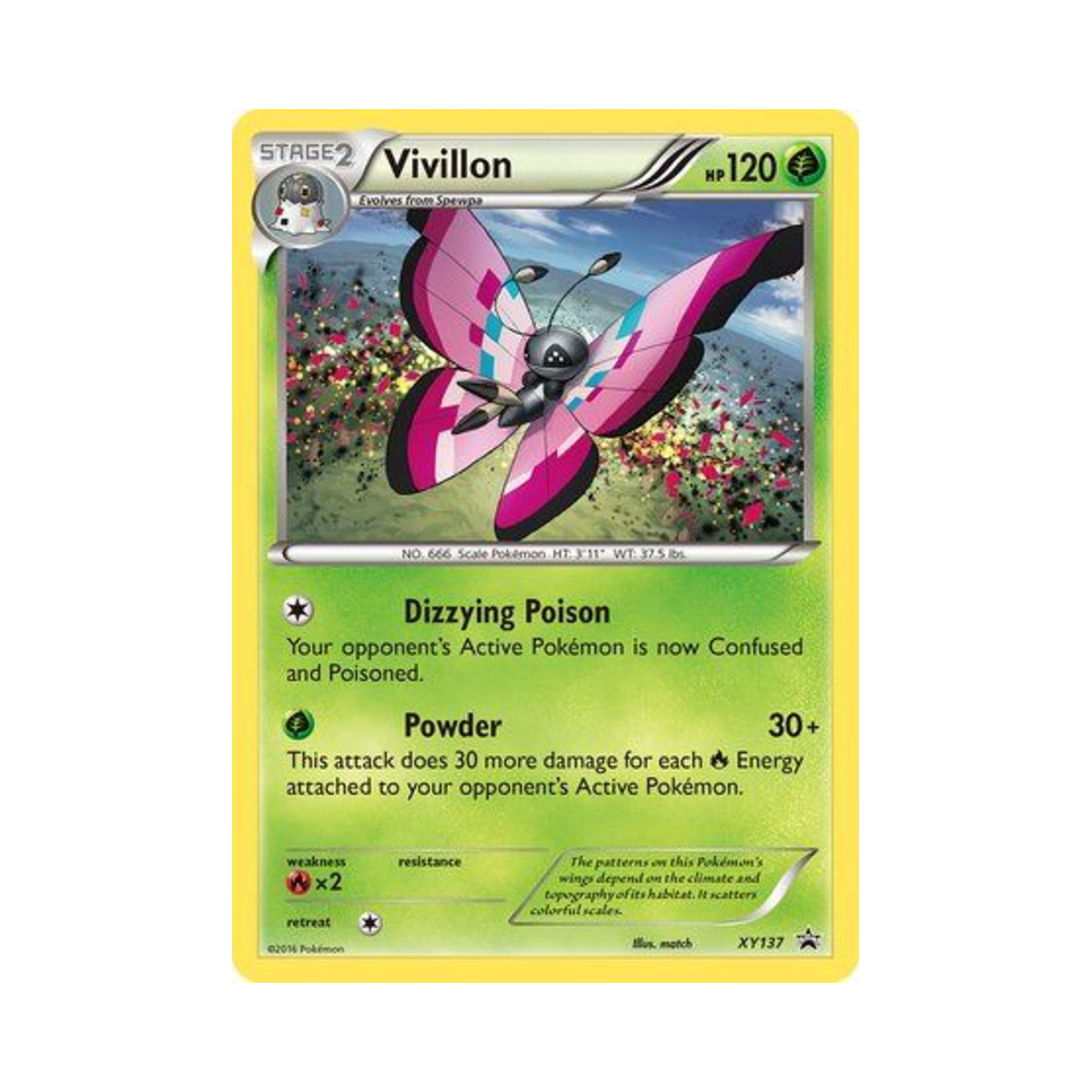 포켓몬 TCG 비비용 P XY 프로모 카드 (영문판)(Pokemon TCG Vivillon P XY Promos (English Ver.)) - 1