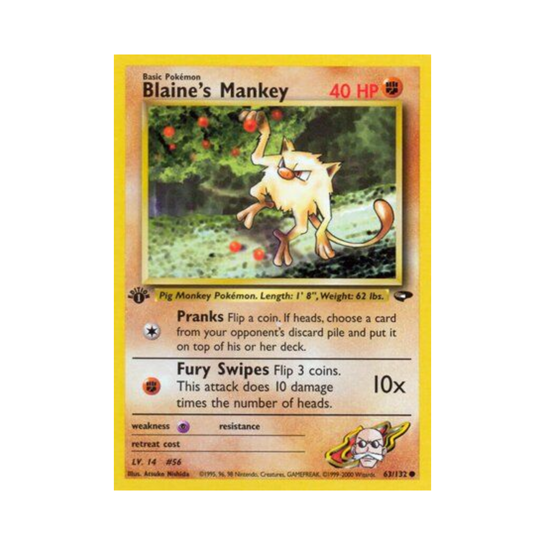 포켓몬 TCG 강연의 망키 C 짐 첼린지 (영문판)(Pokemon TCG Blaine's Mankey C Gym Challenge (English Ver.)) - 1