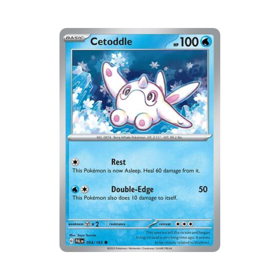 포켓몬 TCG 터벅고래 C 팔데아 이볼브드 (영문판)(Pokemon TCG Cetoddle C Paldea Evolved (English Ver.)) - 1
