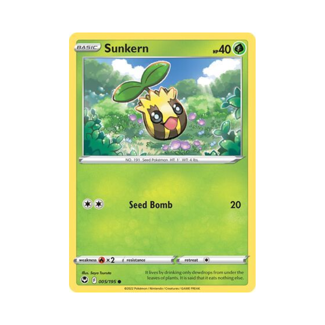 포켓몬 TCG 해너츠 C 실버 템페스트 (영문판)(Pokemon TCG Sunkern C Silver Tempest (English Ver.)) - 1