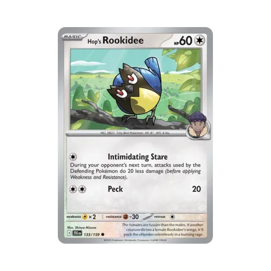 포켓몬 TCG 호브의 C 저니 투게더 (영문판)(Pokemon TCG Hop's Rookidee C Journey Together (English Ver.))