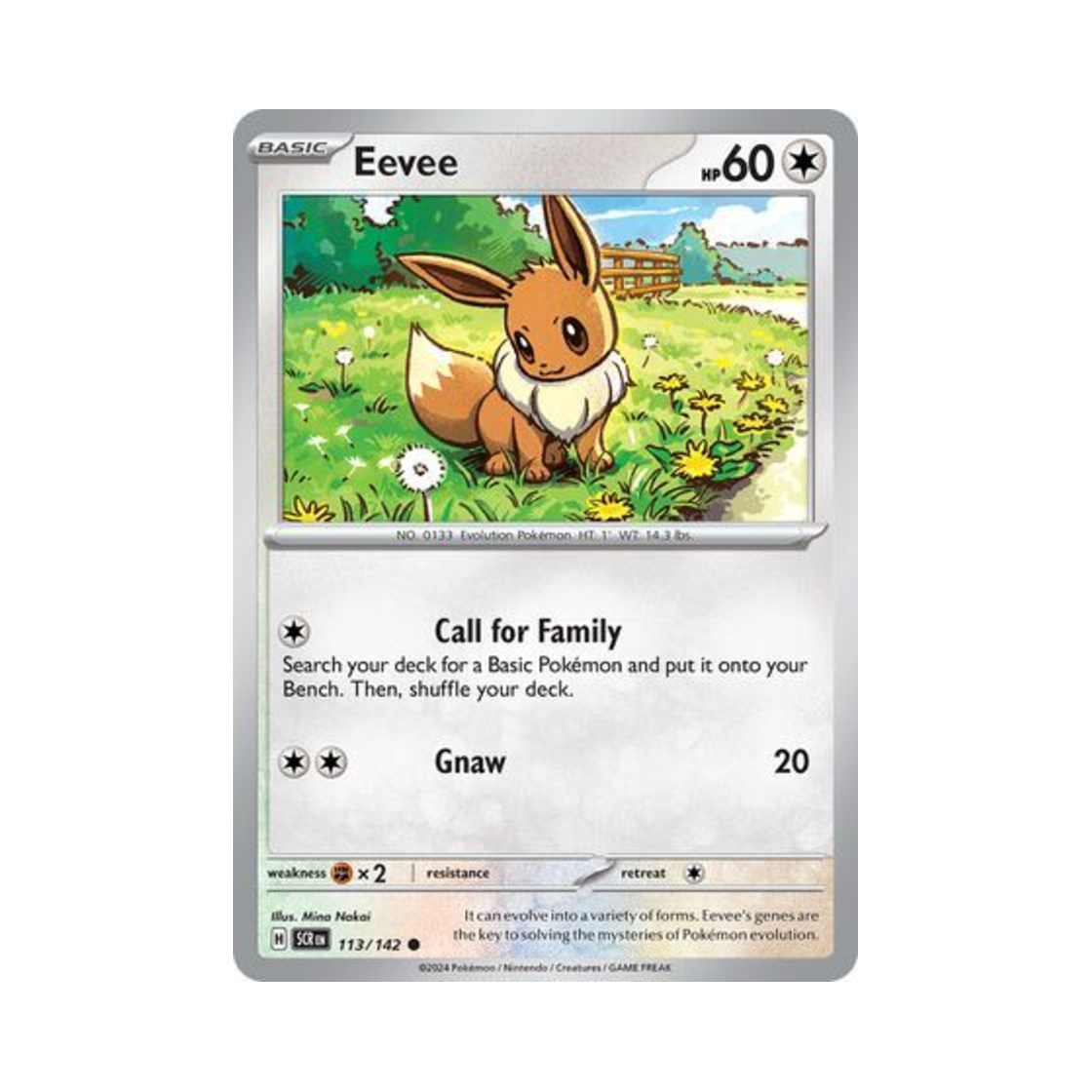 포켓몬 TCG 이브이 C 스텔라 크라운 (영문판)(Pokemon TCG Eevee C Stellar Crown (English Ver.)) - 1