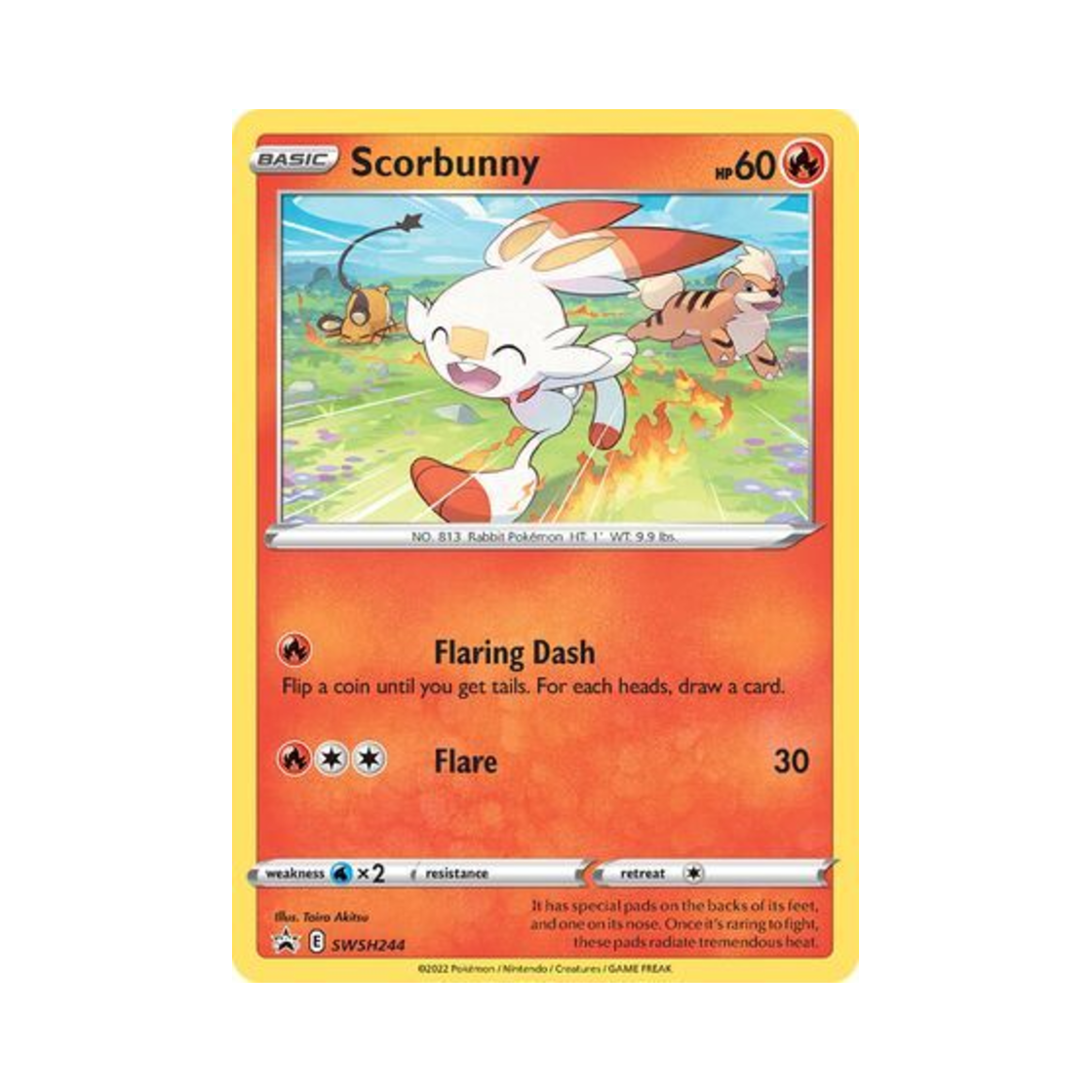 포켓몬 TCG 염버니 P 소드 & 실드 프로모카드 (영문판)(Pokemon TCG Scorbunny P Sword & Shield Promos (English Ver.))