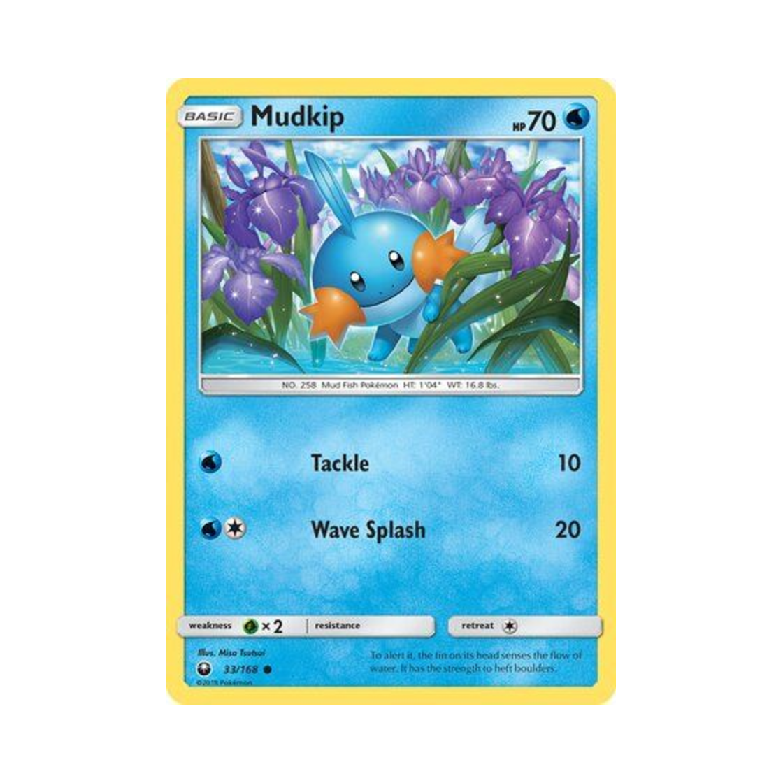 포켓몬 TCG 물짱이 C 셀레스티얼 스톰 (영문판)(Pokemon TCG Mudkip C Celestial Storm (English Ver.)) - 1