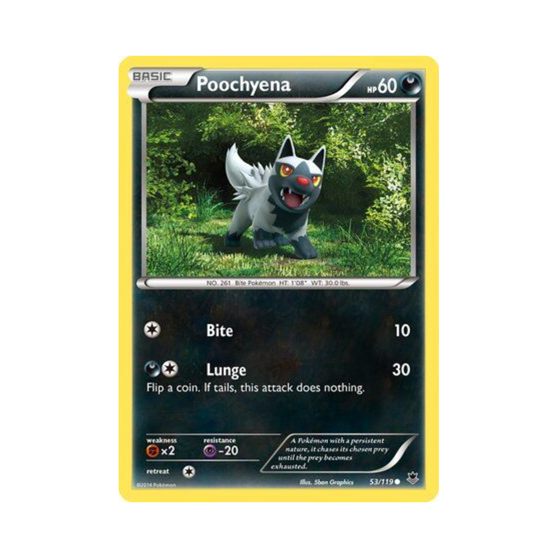 포켓몬 TCG 포챠나 C 팬텀 포스 (영문판)(Pokemon TCG Poochyena C Phantom Forces (English Ver.)) - 1
