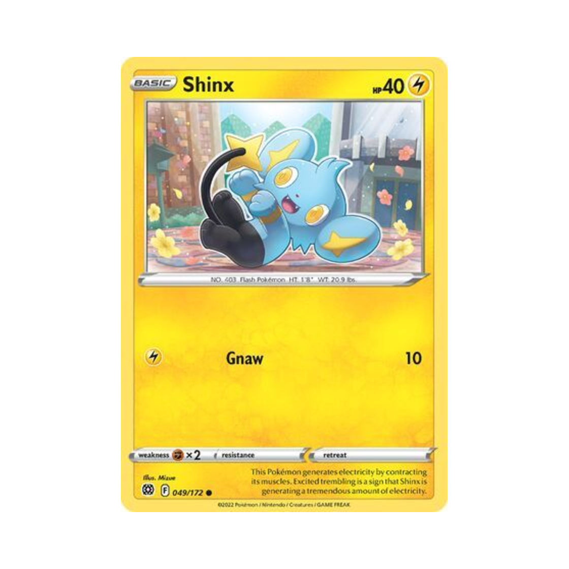 포켓몬 TCG 꼬링크 C 브릴리언트 스타즈 (영문판)(Pokemon TCG Shinx C Brilliant Stars (English Ver.)) - 1