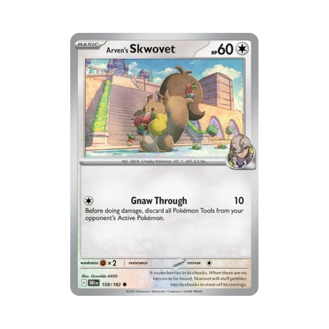 포켓몬 TCG 페퍼의 탐리스 C 데스티니드 라이벌스 (영문판)(Pokemon TCG Arven's Skwovet C Destined Rivals (English Ver.)) - 1