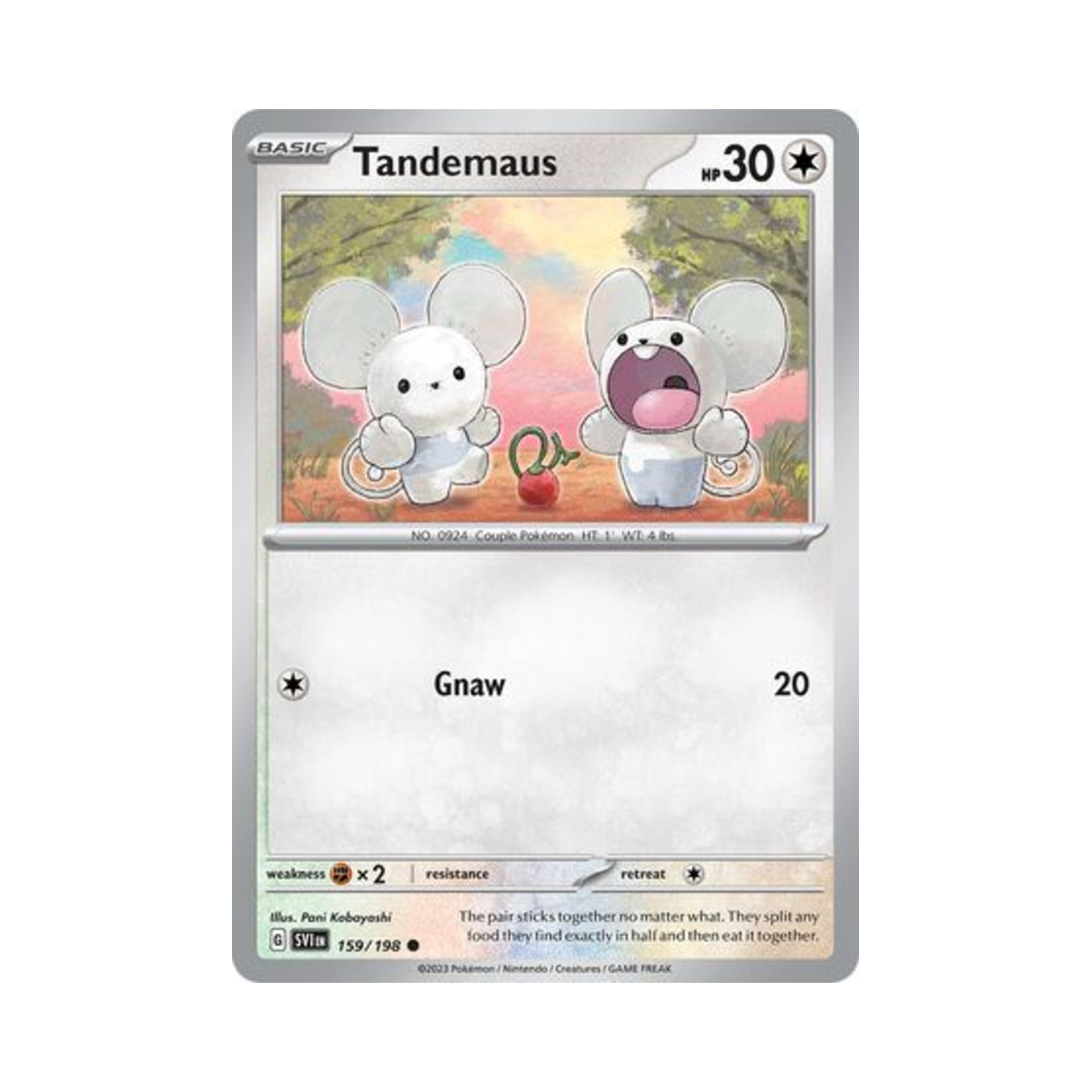 포켓몬 TCG 두리쥐 C 스칼렛 & 바이올렛 (영문판)(Pokemon TCG Tandemaus C Scarlet & Violet (English Ver.)) - 1