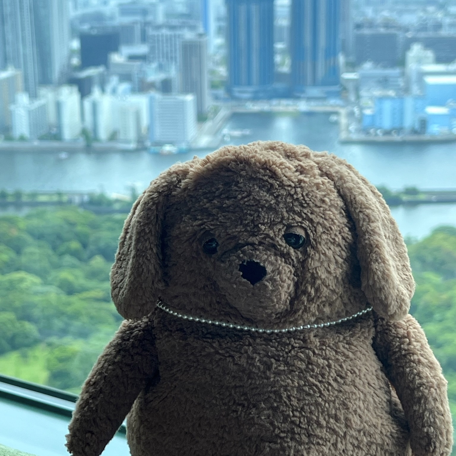 Jellycat Amore Dog Brown 착용 스타일 - 2