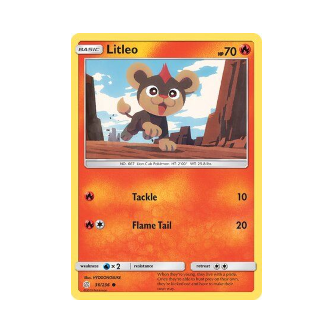 포켓몬 TCG 레오꼬 C 코스믹 이클립스 (영문판)(Pokemon TCG Litleo C Cosmic Eclipse (English Ver.))