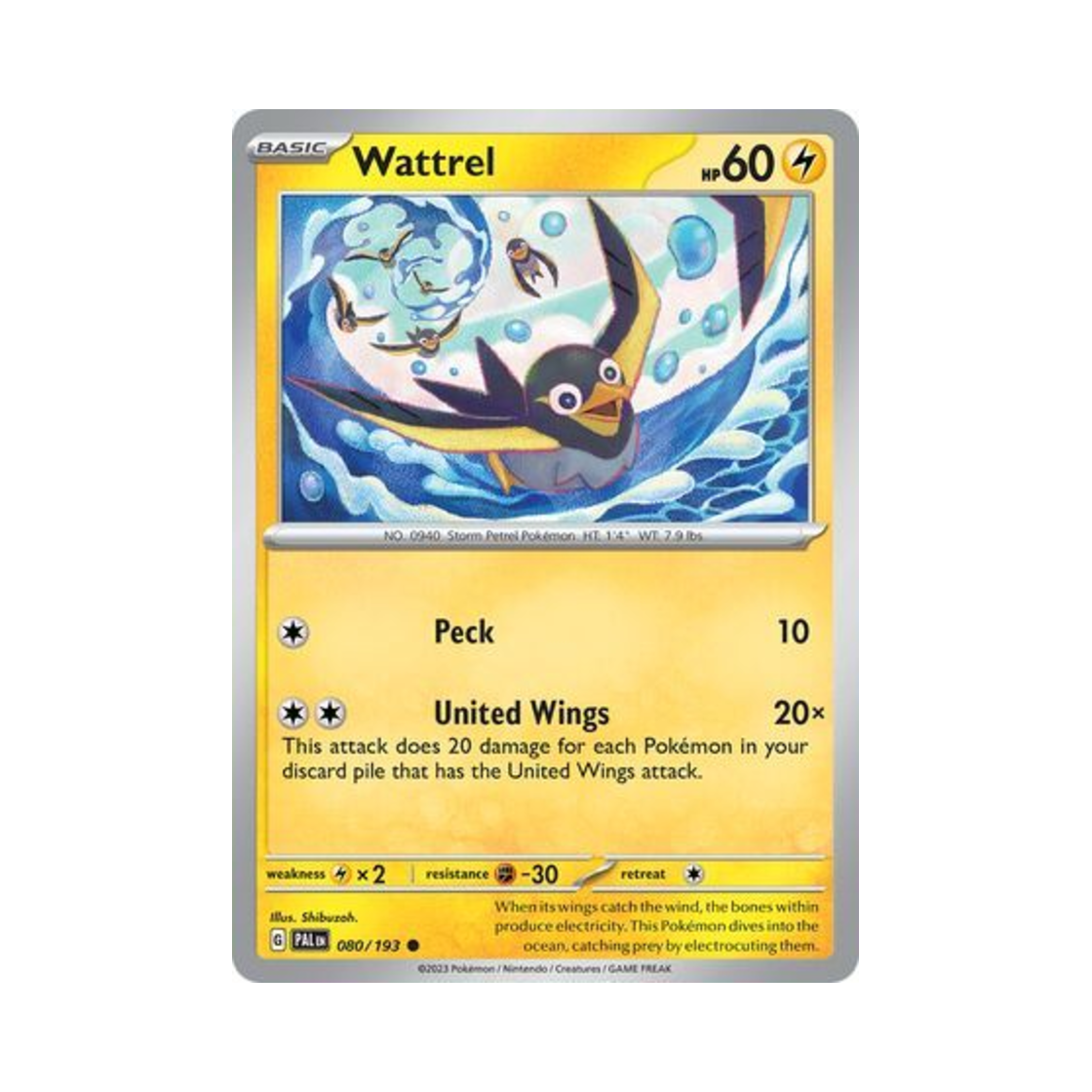 포켓몬 TCG 찌리비 C 팔데아 이볼브드 (영문판)(Pokemon TCG Wattrel C Paldea Evolved (English Ver.)) - 1