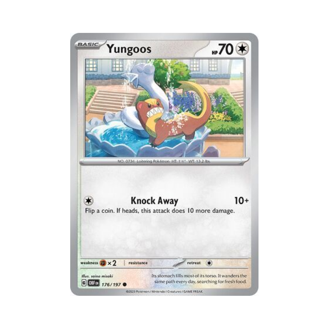 포켓몬 TCG 영구스 C 옵시디언 플레임즈 (영문판)(Pokemon TCG Yungoos C Obsidian Flames (English Ver.)) - 1