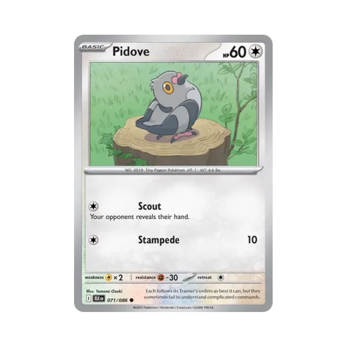 포켓몬 TCG 콩둘기 C 블랙볼트 (영문판)(Pokemon TCG Pidove C Black Bolt (English Ver.)) - 1