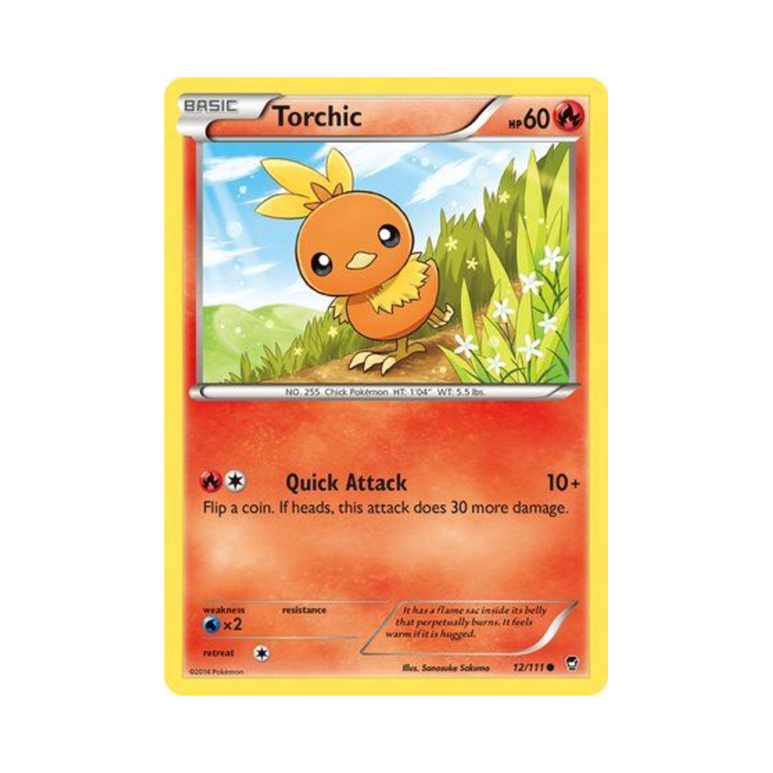포켓몬 TCG 아차모 C 퓨리어스 피스트 (영문판)(Pokemon TCG Torchic C Furious Fists (English Ver.)) - 1