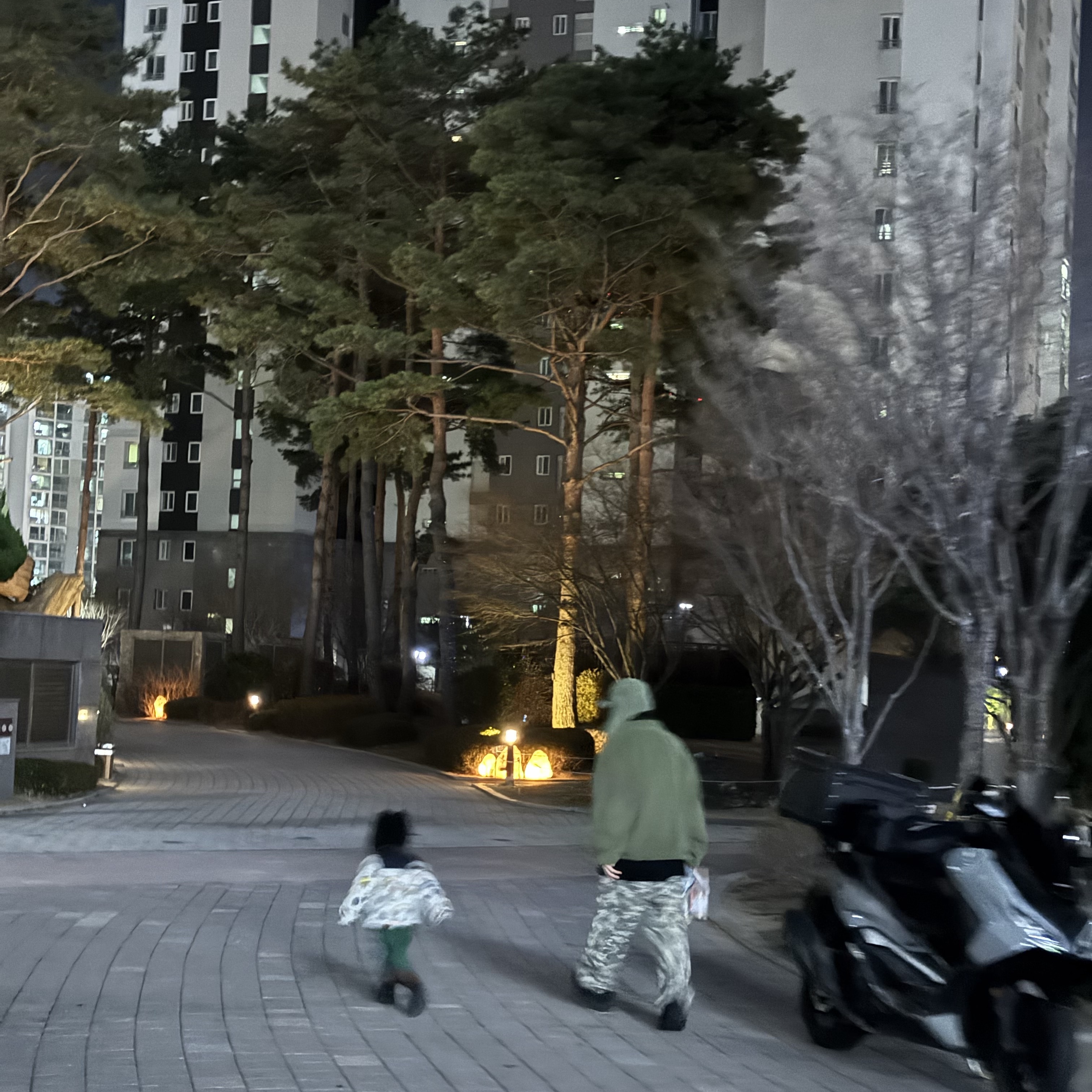 Stussy Training Pant Digi Camo, Supreme Polartec Shearling Reversible Pullover Olive - 25FW 착용 스타일 - 2