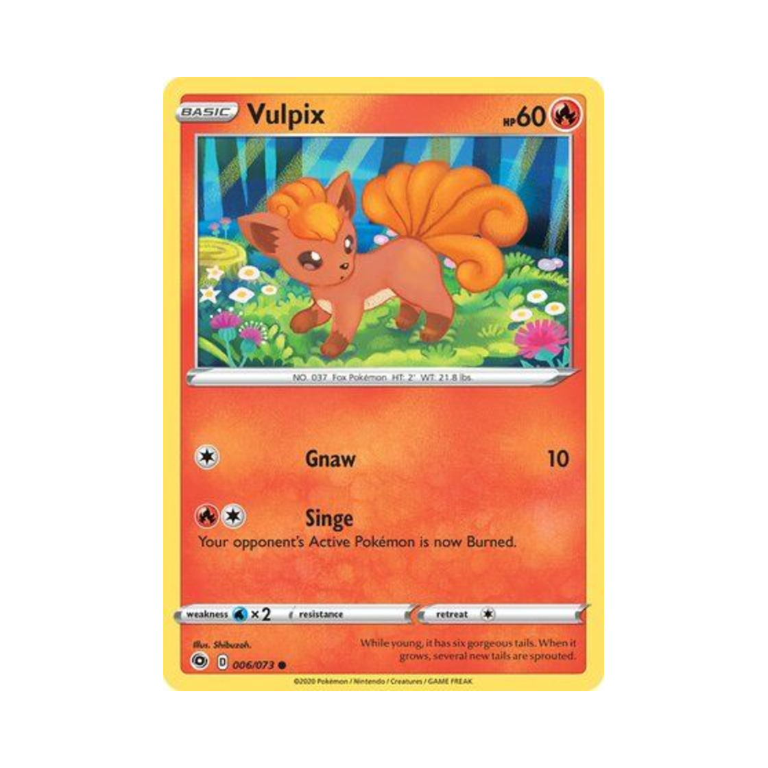 포켓몬 TCG 식스테일 C 챔피언스 패스 (영문판)(Pokemon TCG Vulpix C Champion's Path (English Ver.)) - 1