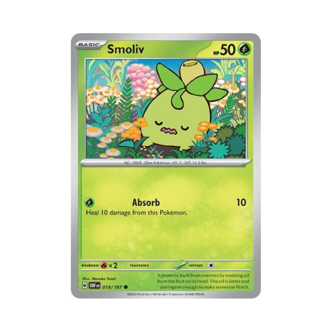포켓몬 TCG 미니브 C 옵시디언 플레임즈 (영문판)(Pokemon TCG Smoliv C Obsidian Flames (English Ver.)) - 1