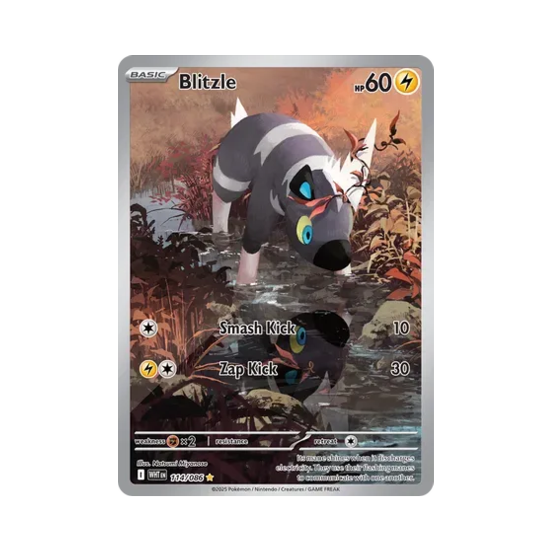 포켓몬 TCG 줄뮤마 IR 화이트플레어 (영문판)(Pokemon TCG Blitzle IR White Flare (English Ver.))