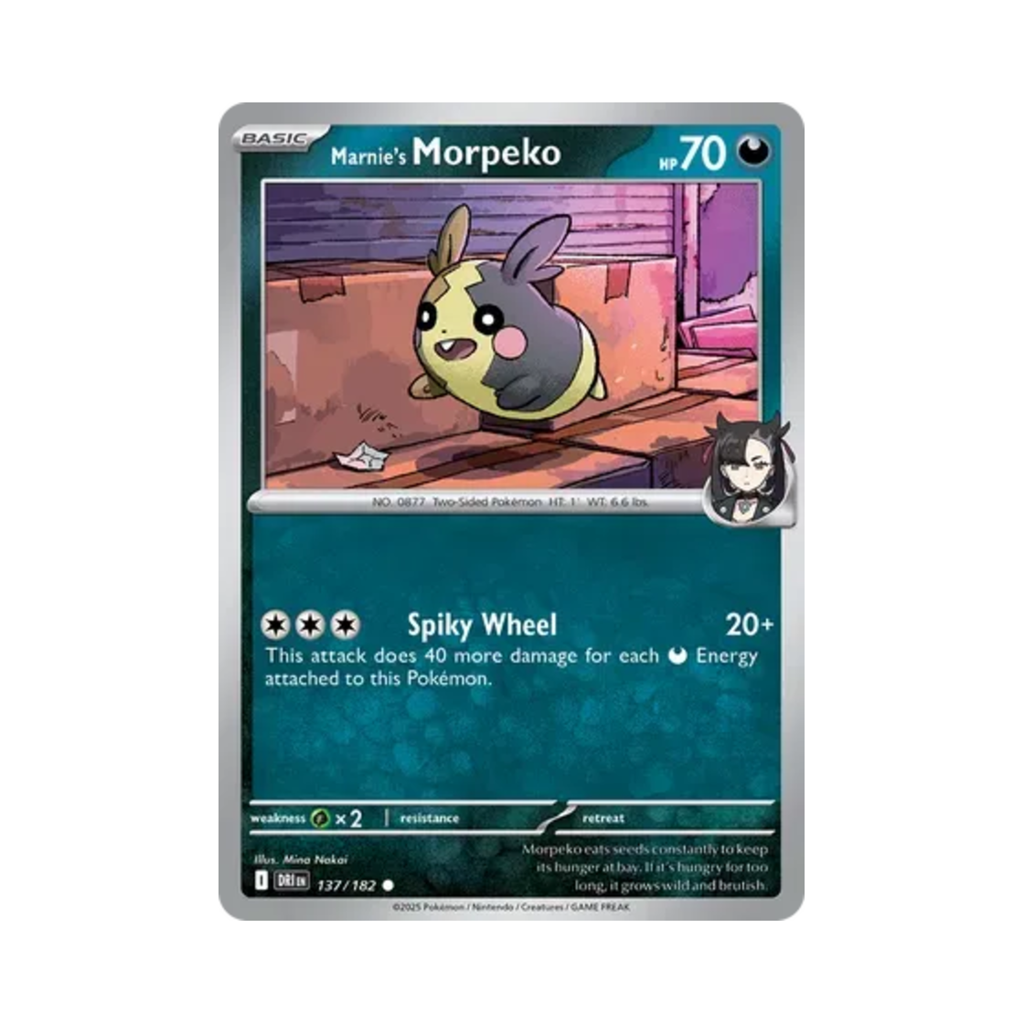포켓몬 TCG 마리의 모르페코 C 데스티니드 라이벌스 (영문판)(Pokemon TCG Marnie's Morpeko C Destined Rivals (English Ver.)) - 1