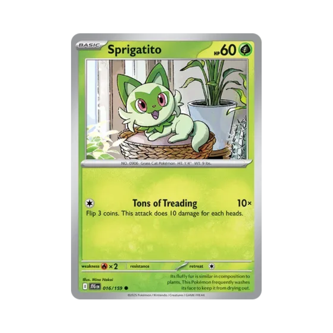 포켓몬 TCG 나오하 C 저니 투게더 (영문판)(Pokemon TCG Sprigatito C Journey Together (English Ver.)) - 1