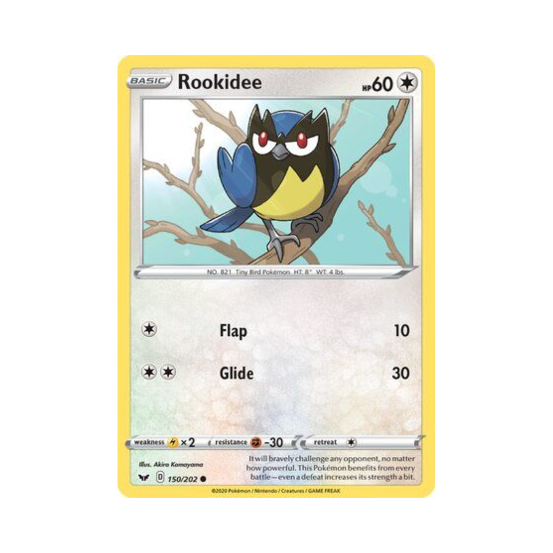 포켓몬 TCG 파라꼬 C 소드 & 실드 (영문판)(Pokemon TCG Rookidee C Sword & Shield (English Ver.)) - 1